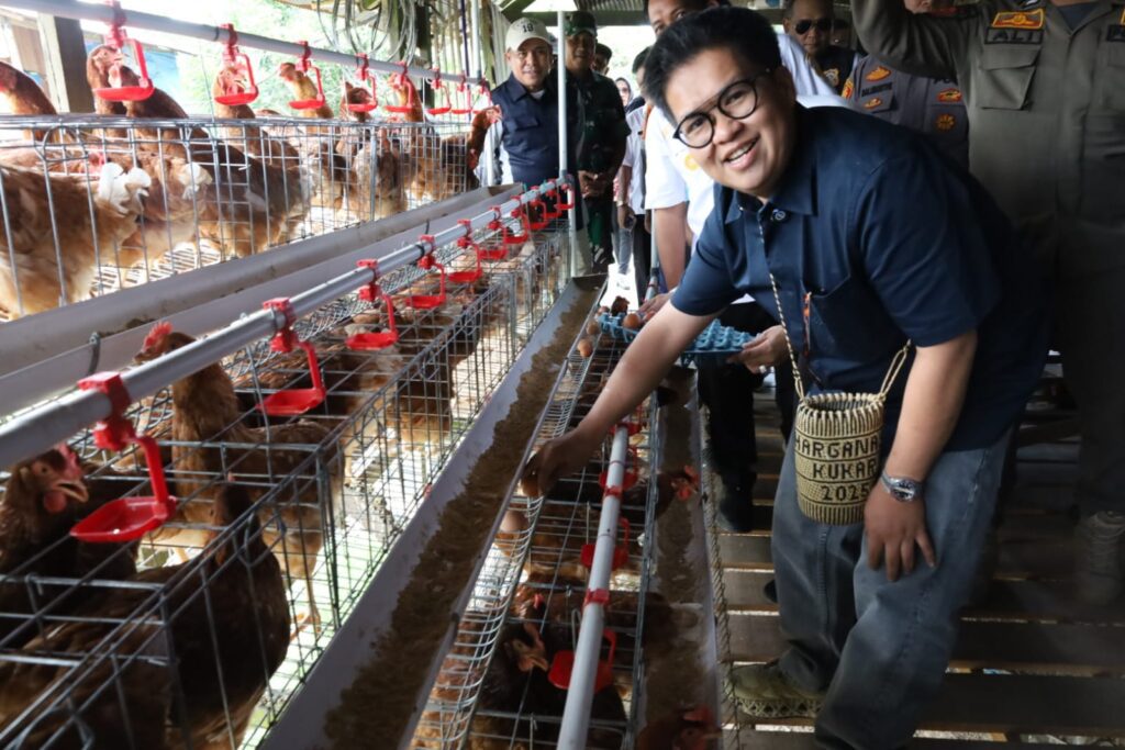 Wabup Kukar Resmikan Unit Usaha Ayam Petelur BUMDes Batuah Prima Mandiri