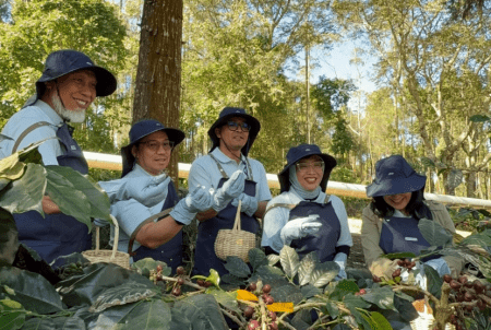 Canaya, Kopi Geotermal dari Kamojang yang Menembus Pasar Dunia