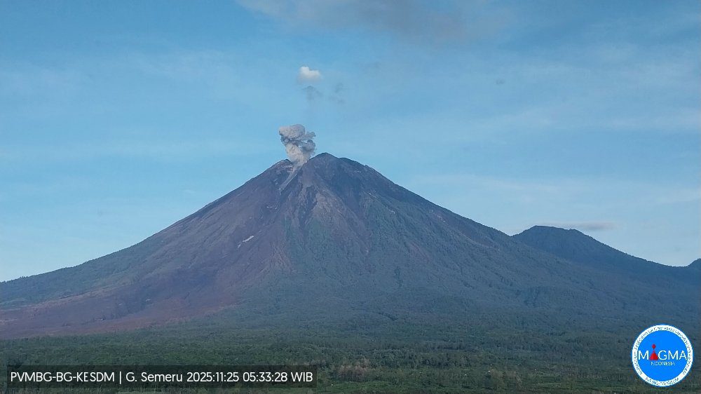 Gunung Semeru Erupsi Delapan Kali, Kolom Abu Capai 1 Kilometer di Atas Puncak