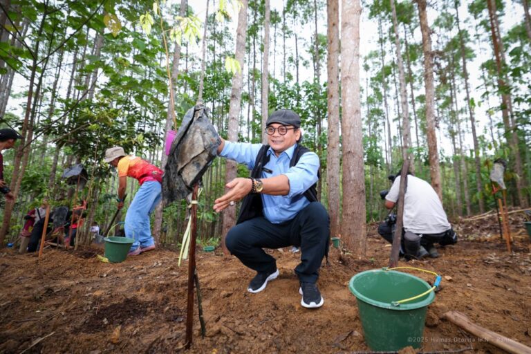 IKN Jadi Tuan Rumah Kejurnas Lari Trail dan Borneo Ultra Mixed Trail 2025