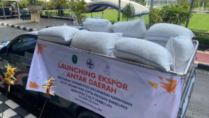 Kakao Fermentasi Kutim Tembus Pasar Nasional, Pengiriman Perdana Capai 2 Ton