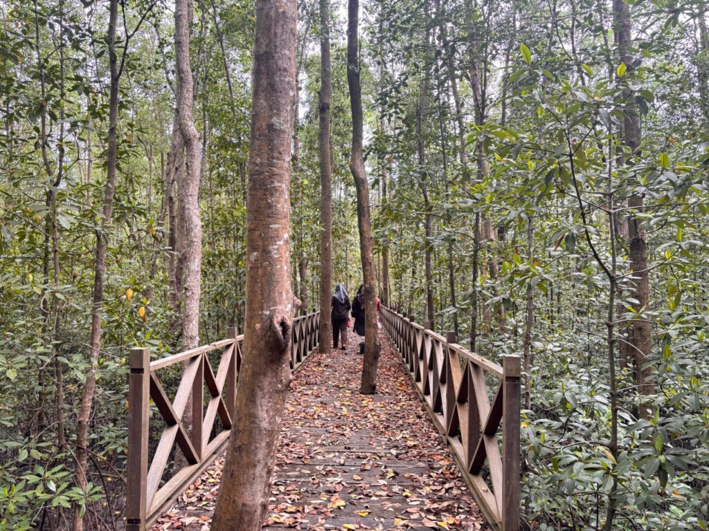 Menyusuri Keheningan Ekowisata Mangrove Kampung Baru di PPU